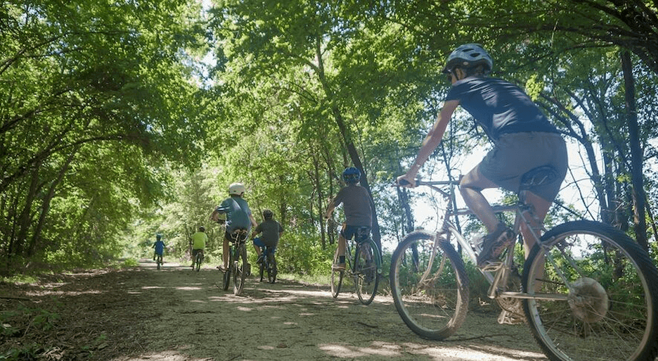 A group of cyclists ride along a sunlit dirt trail surrounded by trees.